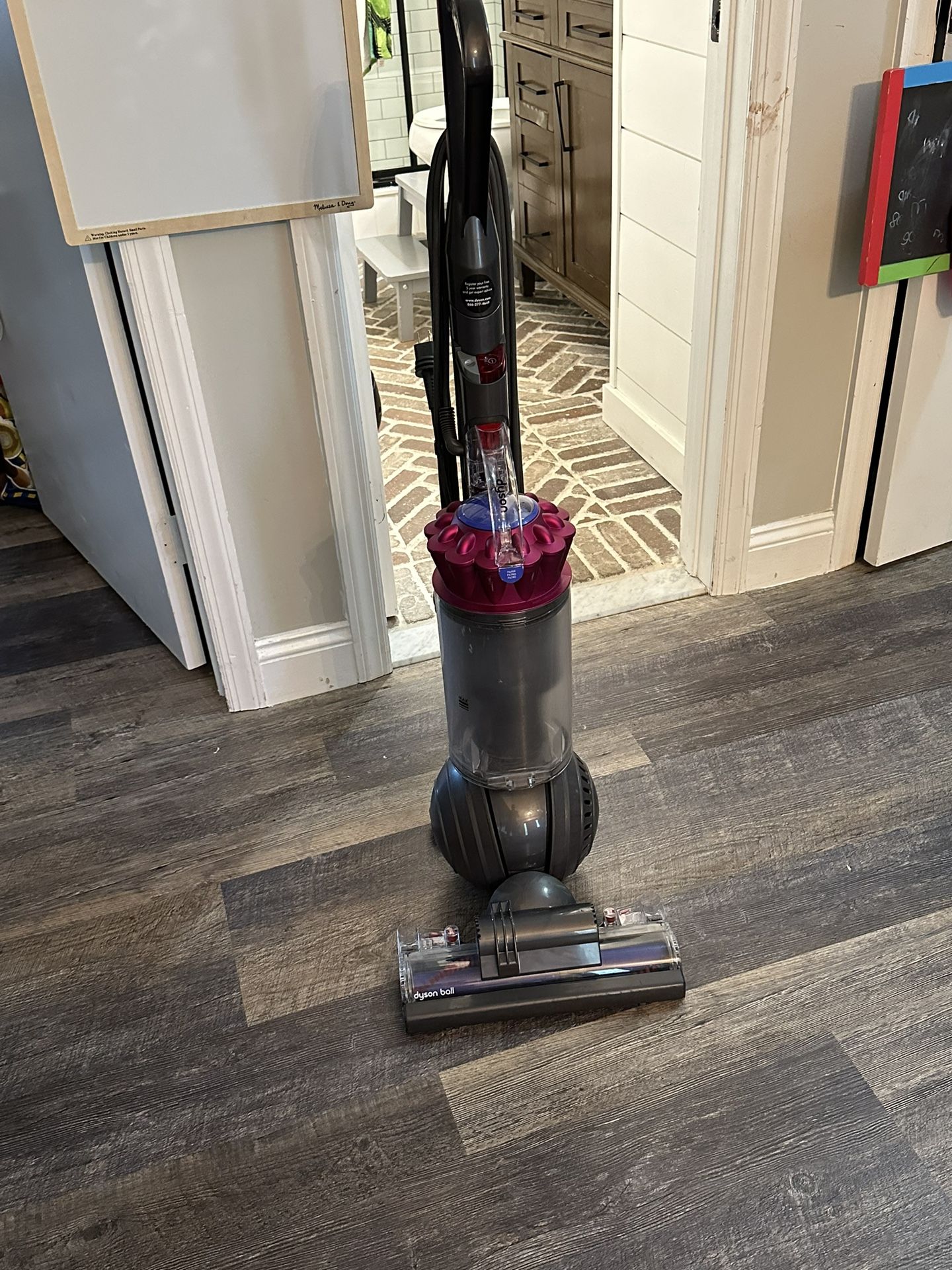 Dyson Ball Animal 2