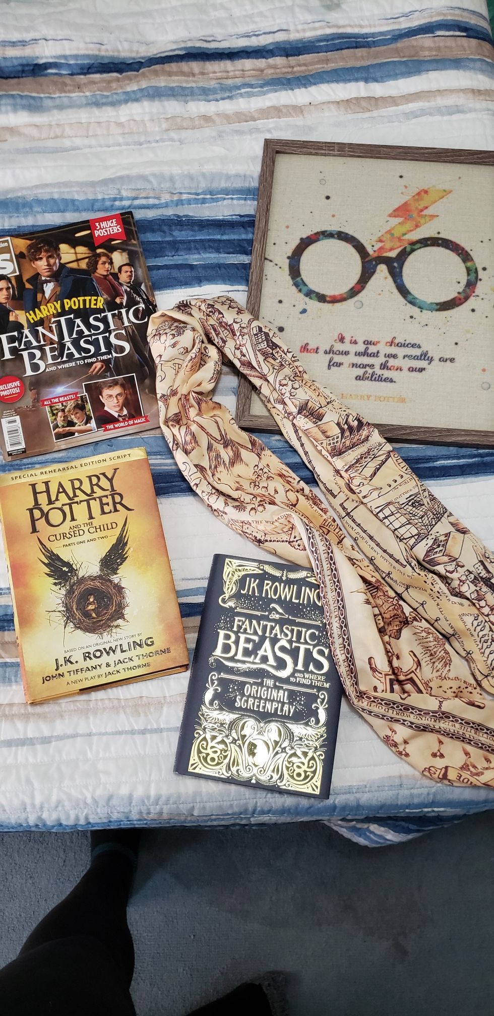 Harry Potter Fantastic Beasts Collection
