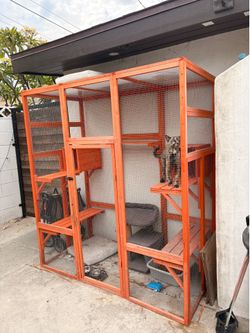 CATIO FOR SALE