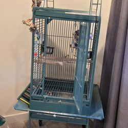 Parrot Cage