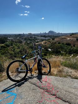 29 inc bike, radical rick