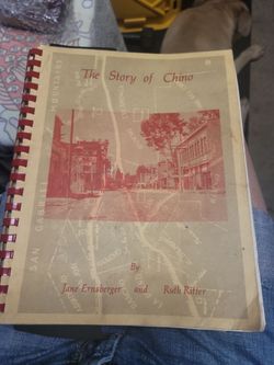 Book "THE STORY OF CHINO"