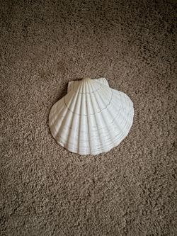 Shell