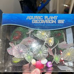 Aquarium decor