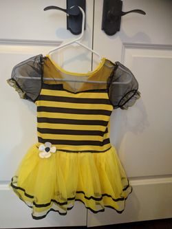 Bee costume