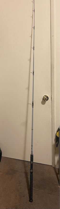 Daiwa rod