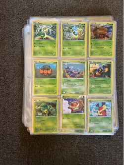 Pokemon Collection 3