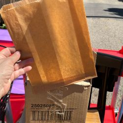 Bags- Sanitary 