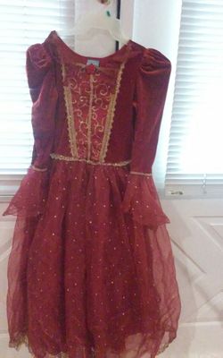 Princess costume size 10/12