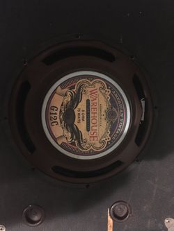 American Vintage G12C Amp Speaker