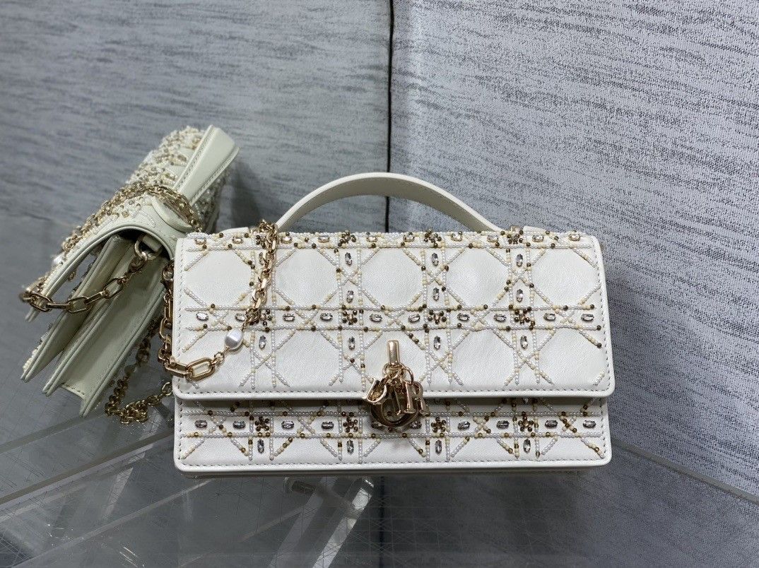 Ladies Christian Dior Bag