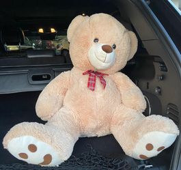 Huge New Teddy Bear