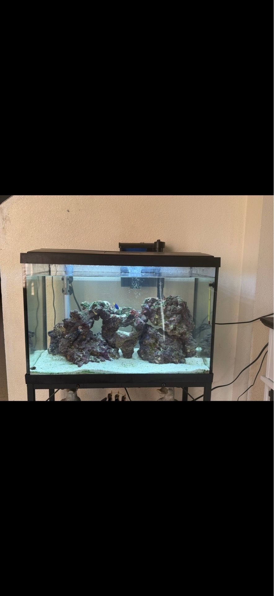 Fish tank