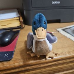 TY Beanie Babies "Jake The Mallard Duck" Large Size Mint 