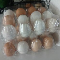 Fresh Chicken Eggs