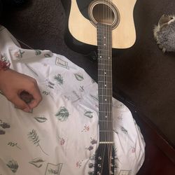 Rogué 12 String 