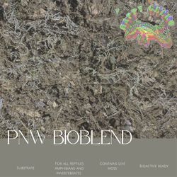 Bioactive substrates live Moss, custom enclosures and more