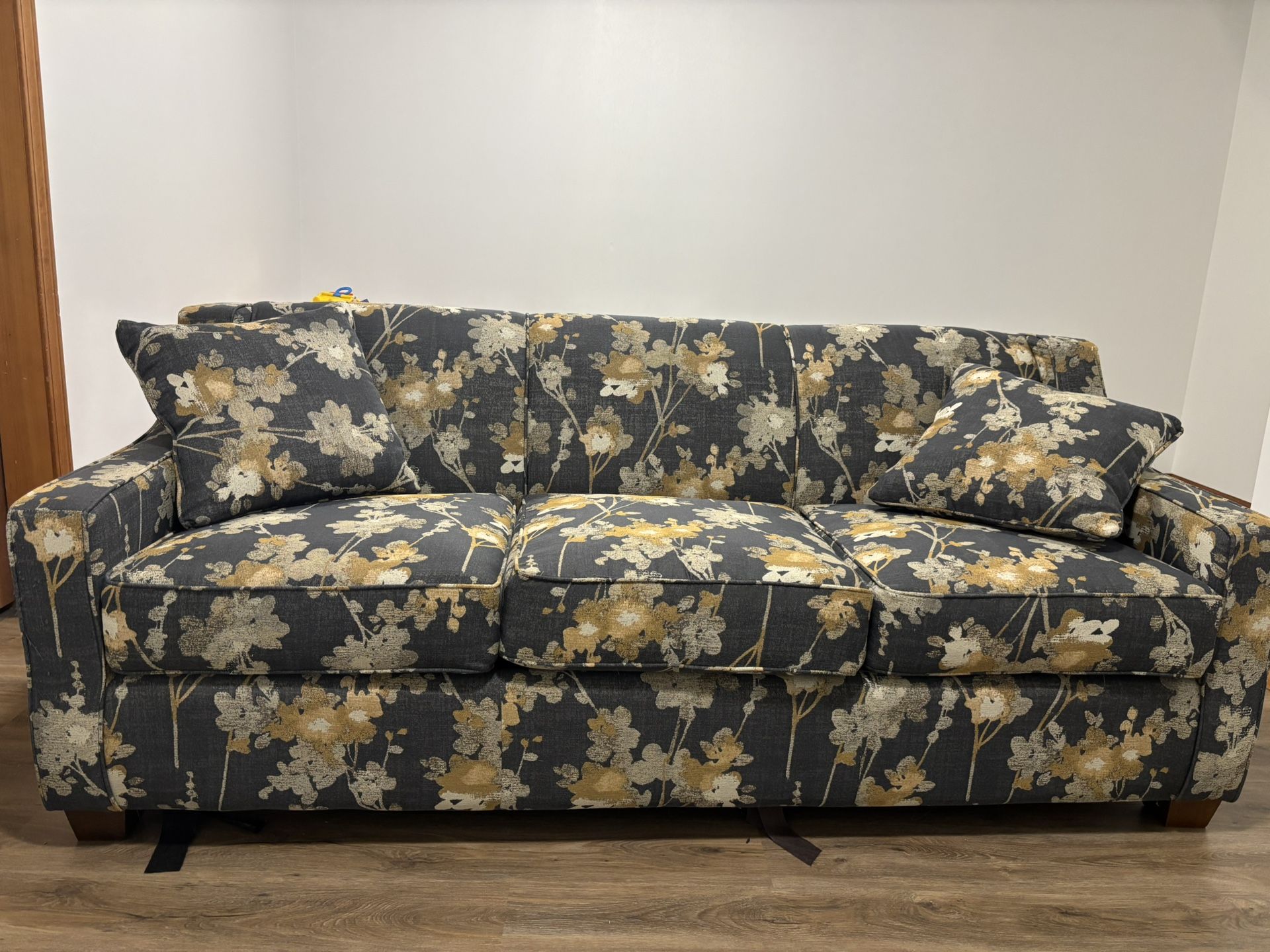 Pull-out Sofa Bed
