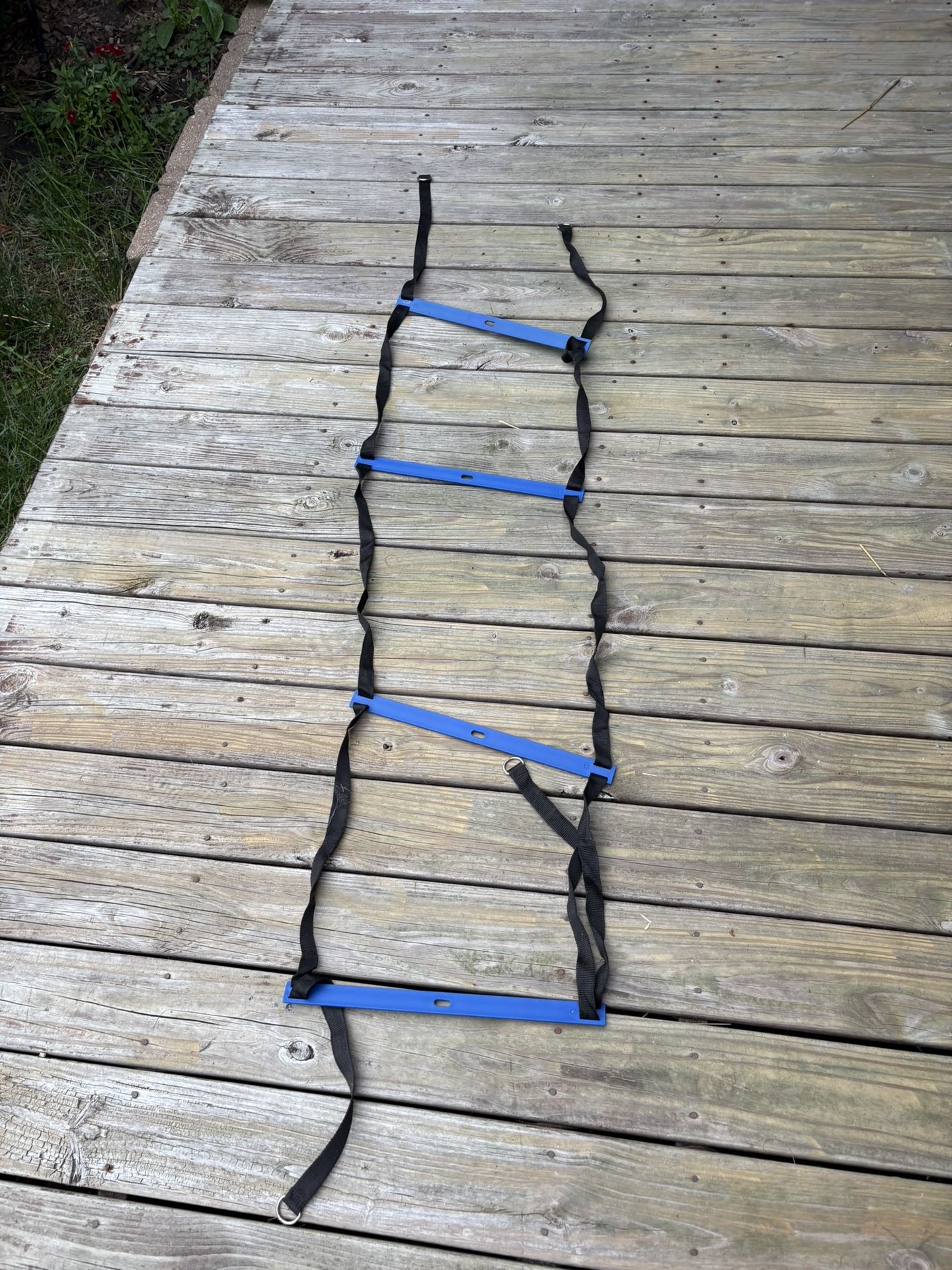 Speed ladder