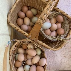 Eggs- Fertile Eggs For Hatching