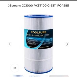 Pool And Spa Filter 