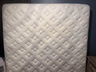 Star Hybrid Bear king mattress