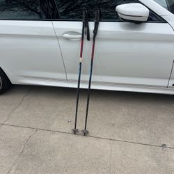 Ski Poles