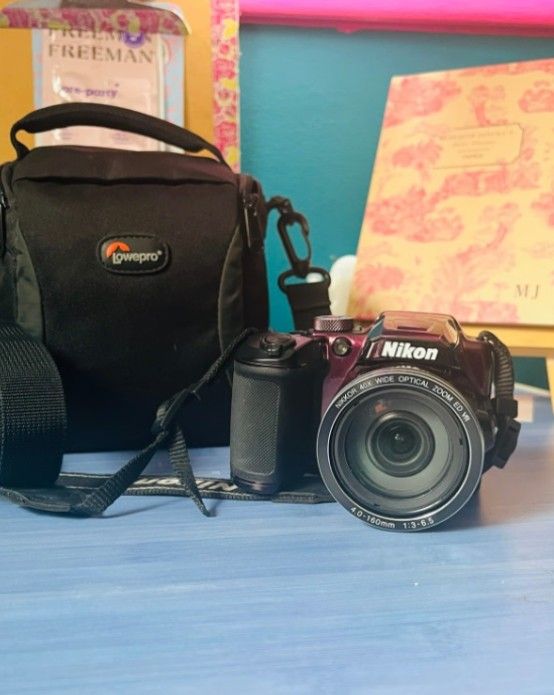 Nikon COOLPIX B500 16.0-Megapixel Digital Camera