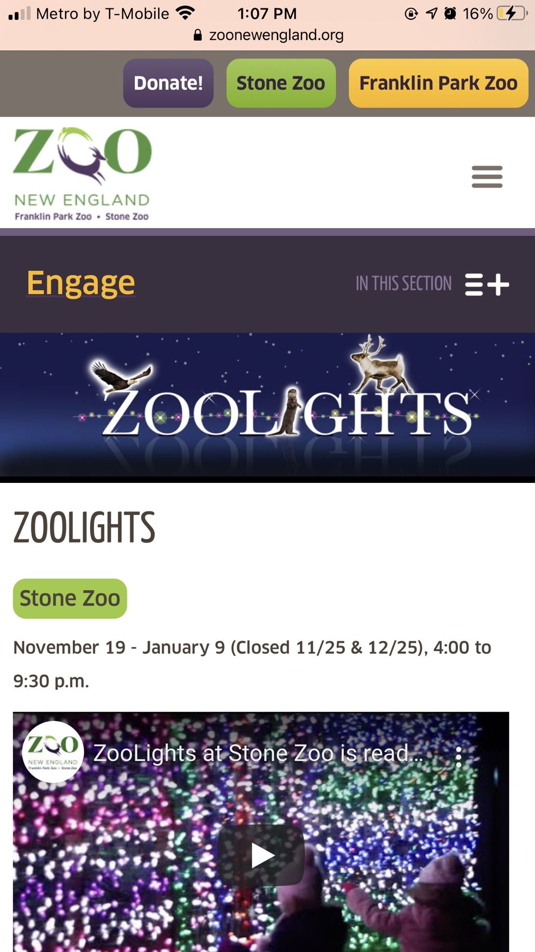 3 tickets for Zoolights at the Stone Zoo