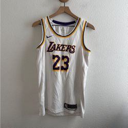 Signed LeBron Jersey 