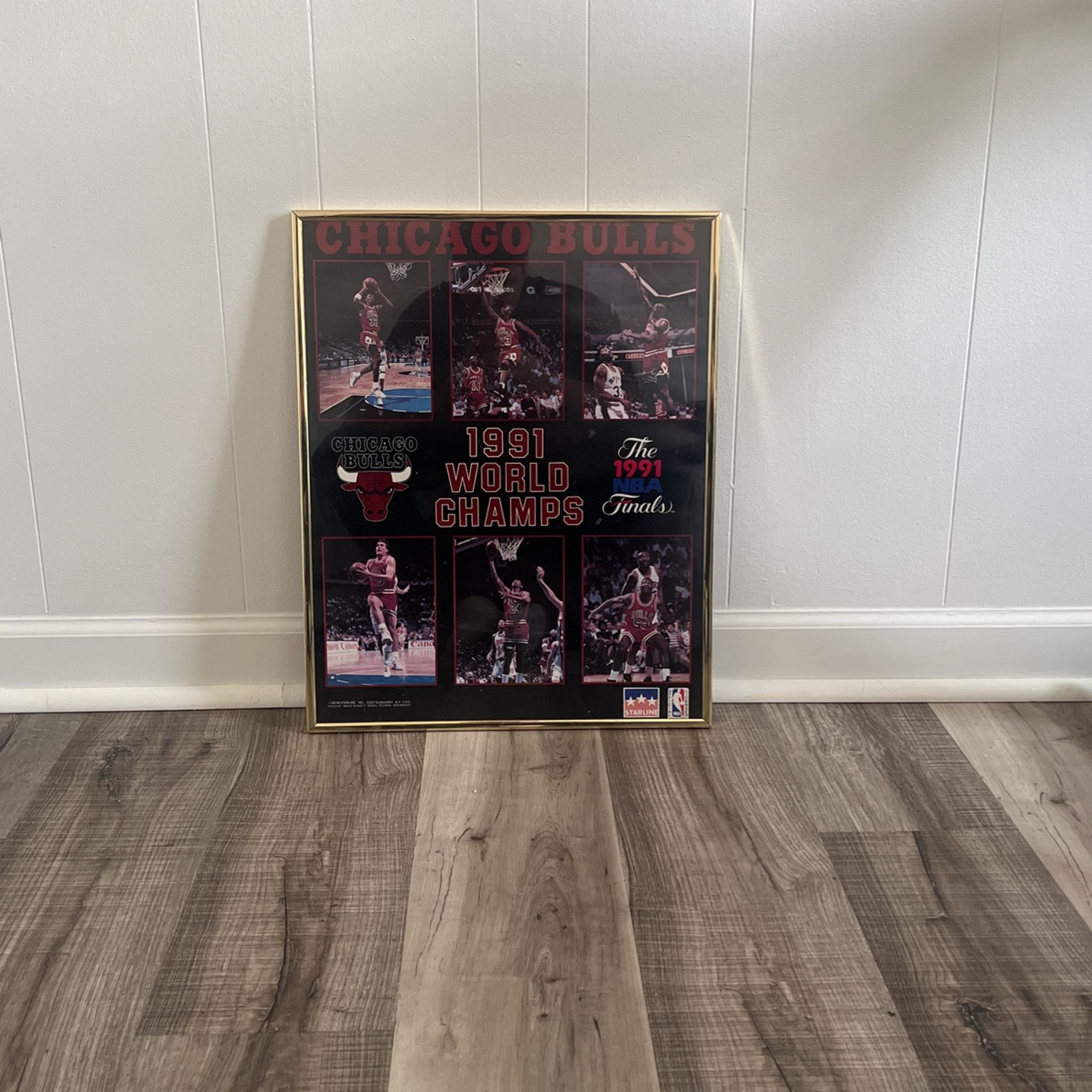 (NEED GONE ASAP) 1991 Chicago Bulls World Championship Poster