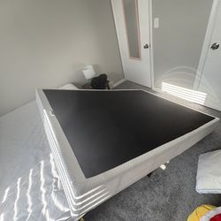 Full size box Spring