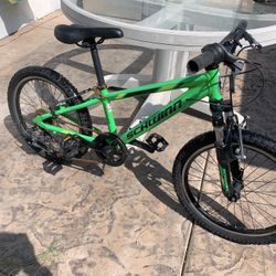Schwinn Boys Mountain Bike 