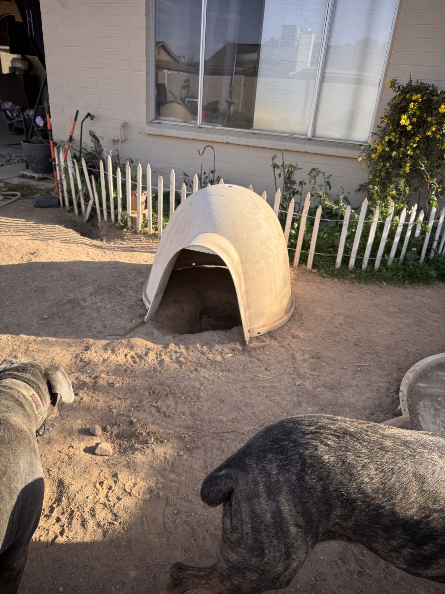 Igloo House For Dogs
