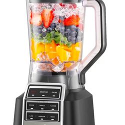 Ganiza Professional Smoothie Blender