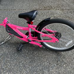 KaZAM Co-Pilot Bike Trailer