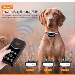 Electric dog fence for cheap sale