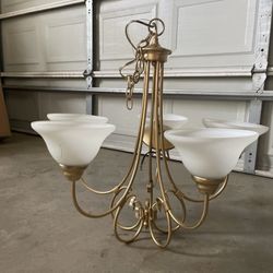 Light Fixture