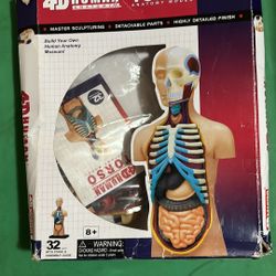 4D Human Torso