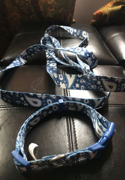 Six foot leash and puppy collar