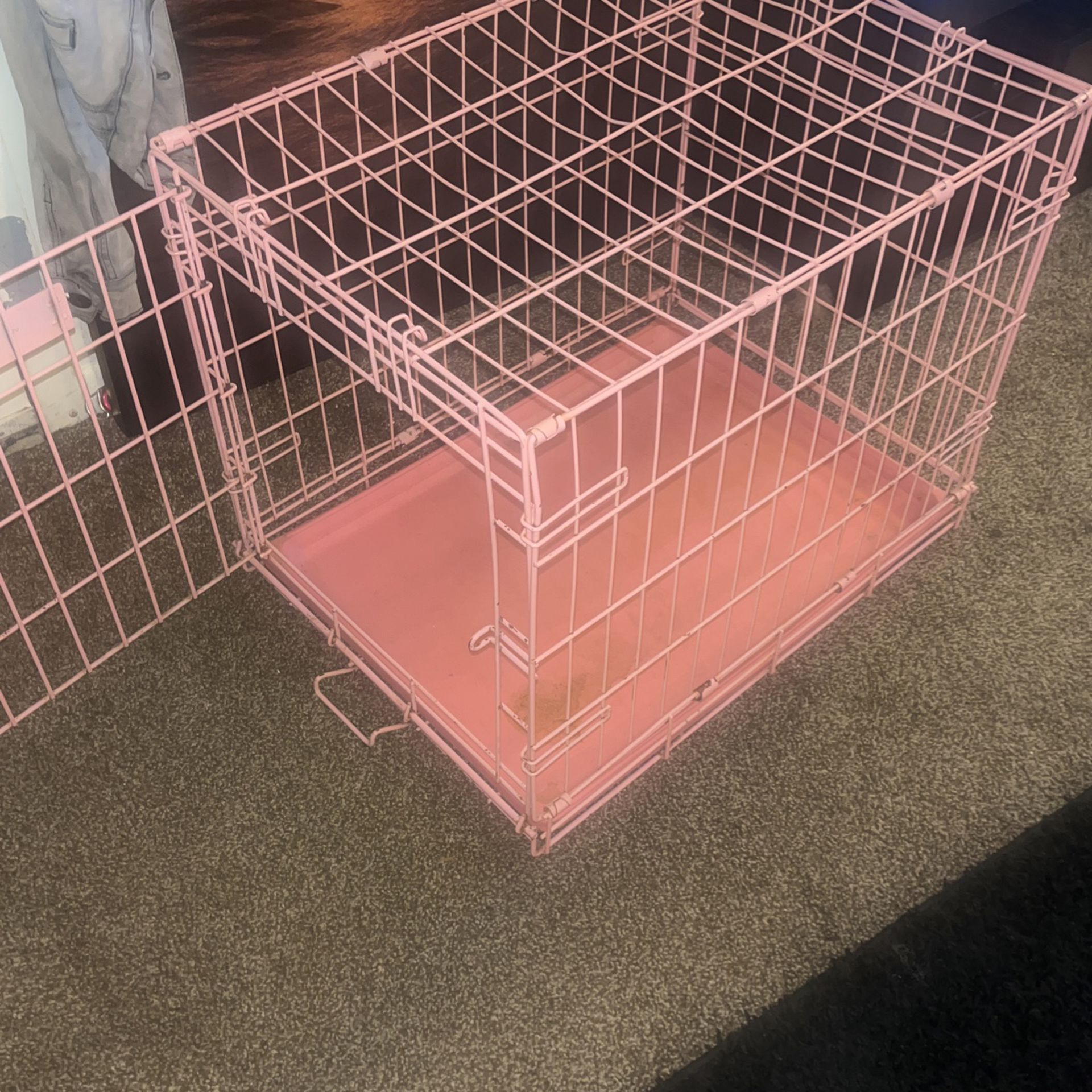 Pink Dog Cage