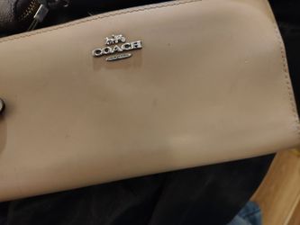 Package Purse Deal