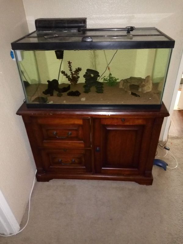 40 gallon breeder aquarium for Sale in Chandler, AZ OfferUp
