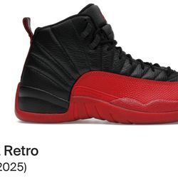 Jordan Retro 12 Flu Game(2025) Size 11.5m