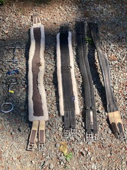 English Girths and Bits