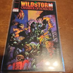 Wild Storm