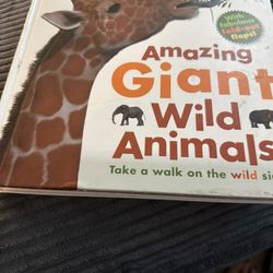 Books - Fold Out Flaps 