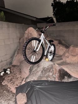 Big Flyer Oreo 