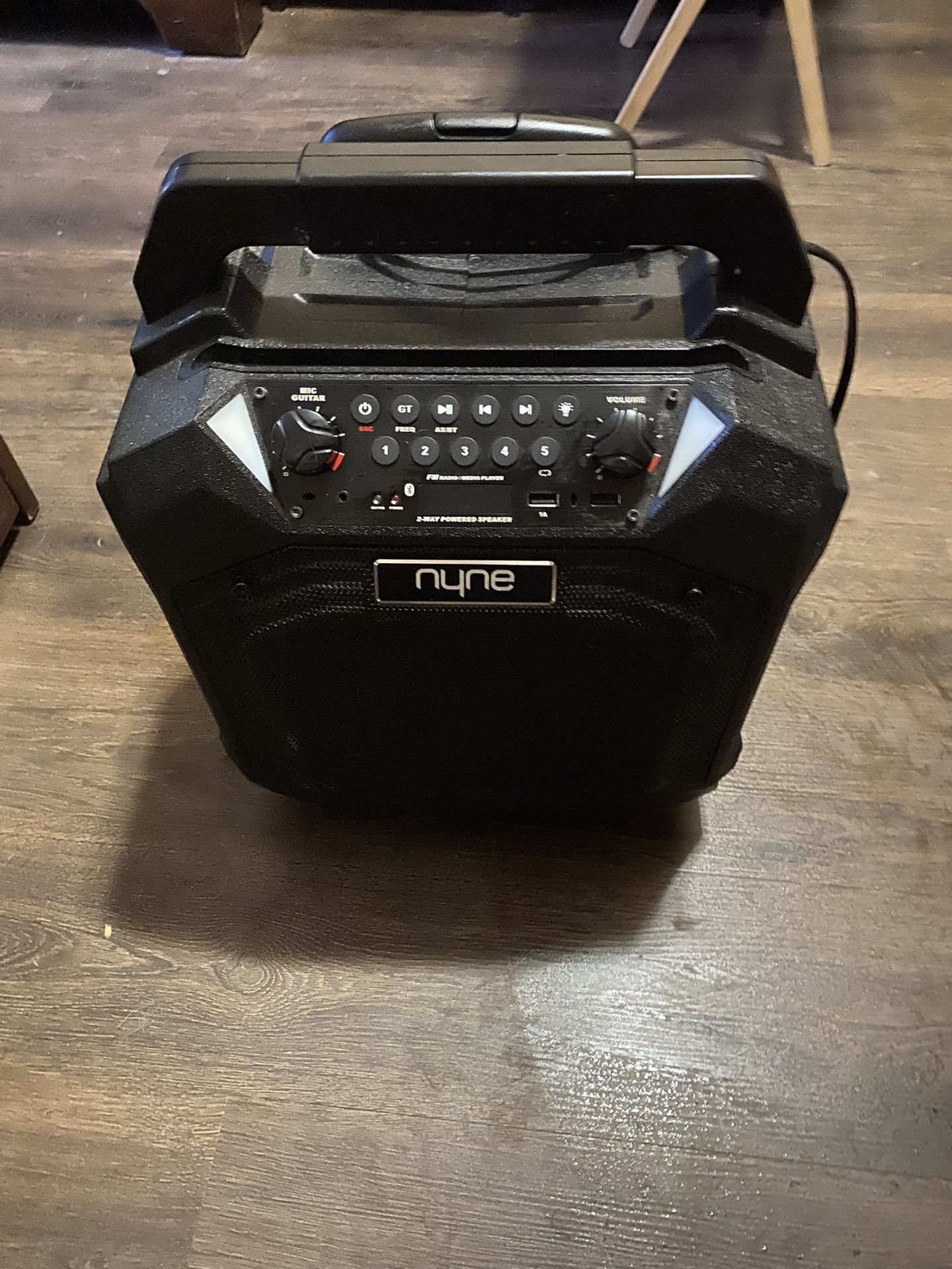 Bluetooth Karaoke Speaker