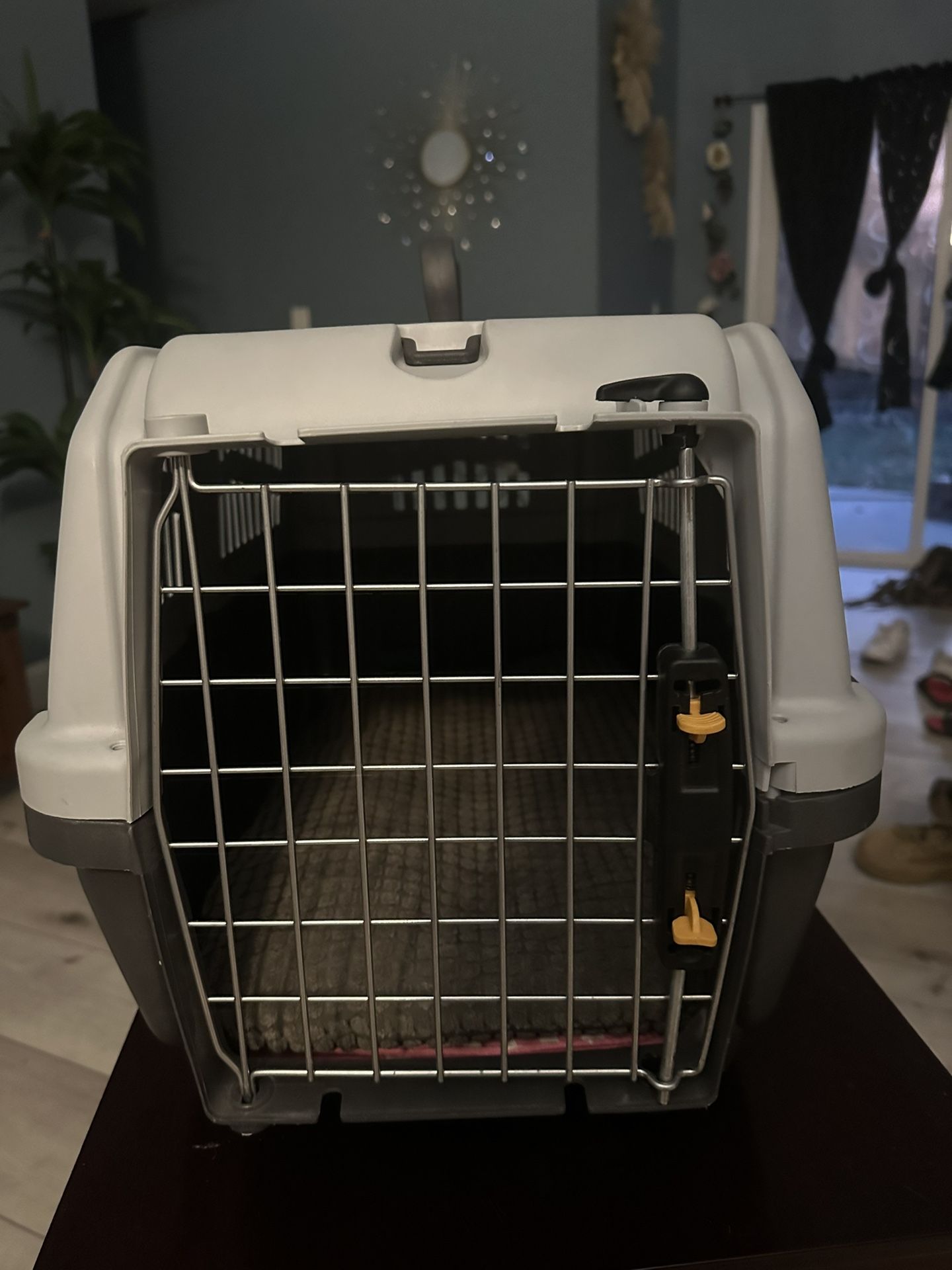 Dog/Cat Kennel